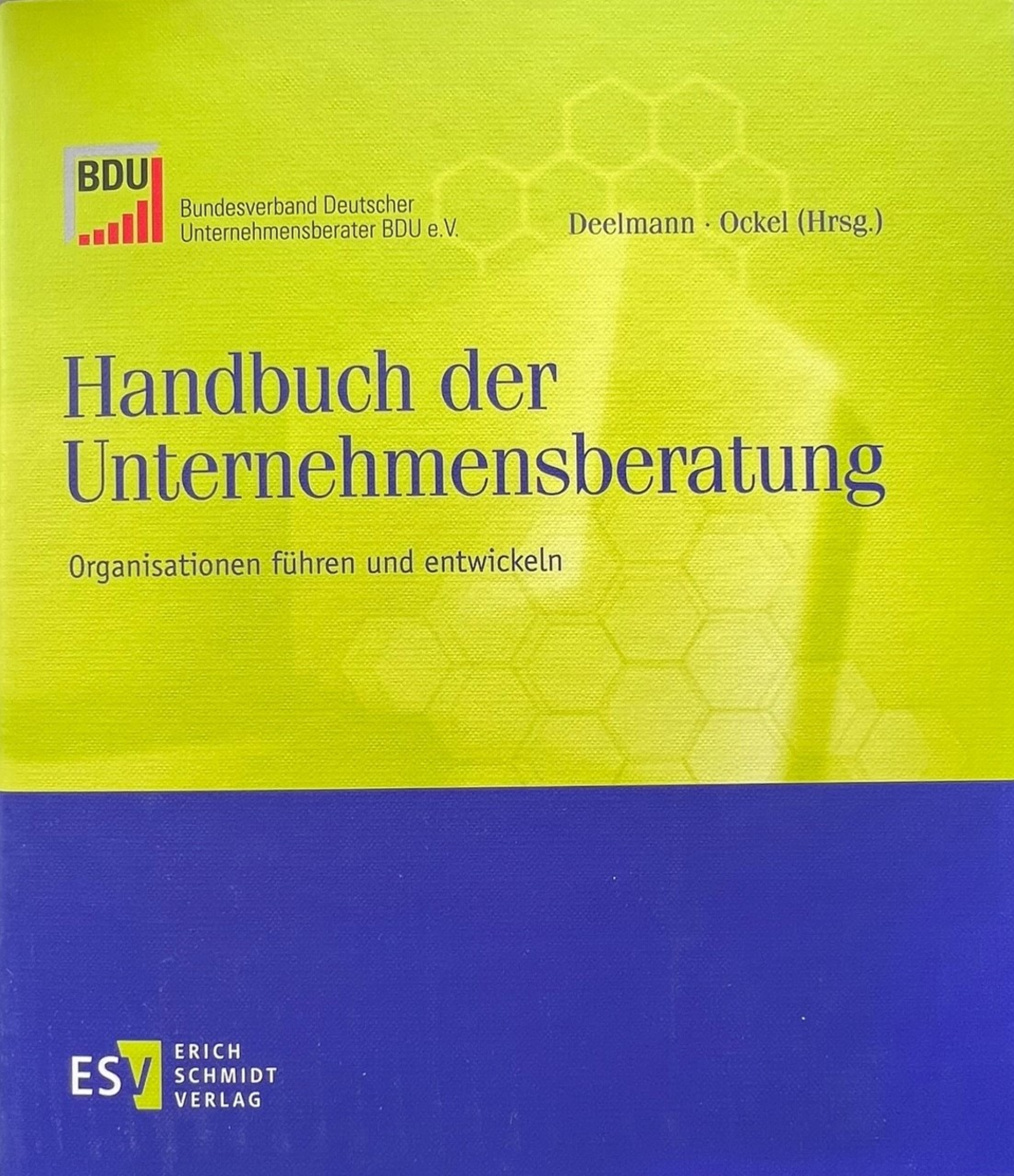IT Interim Management — Buchcover